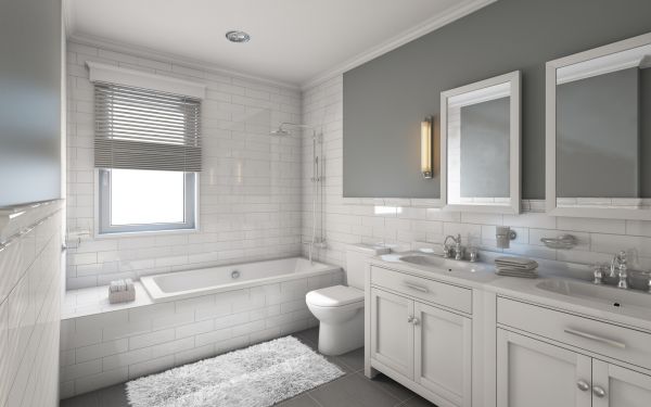 Cost of Restroom Remodeling in Wasilla